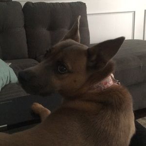 Meet your Posher, Kalee